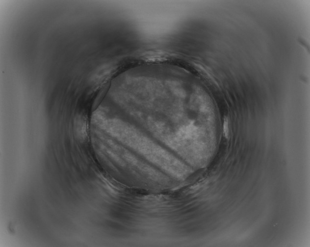 X0000091351444200708311507