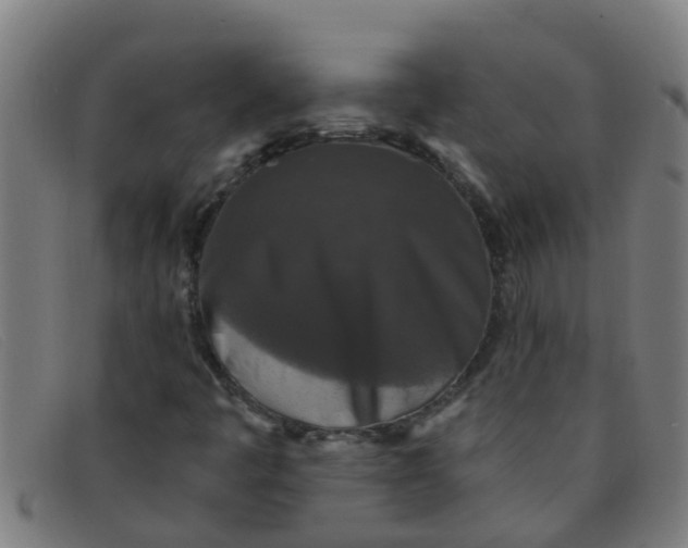 X0000091351445200708311507