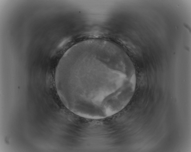 X0000091351446200708311507