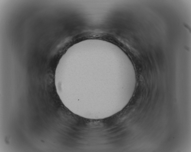 X0000091351447200708311507