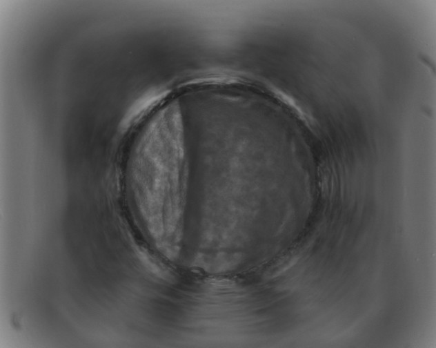 X0000091351448200708311507