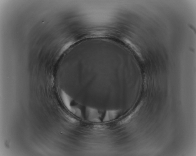 X0000091351449200708311507