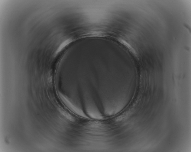X0000091351450200708311507