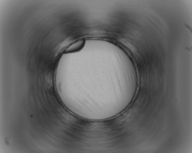 X0000091351451200708311507