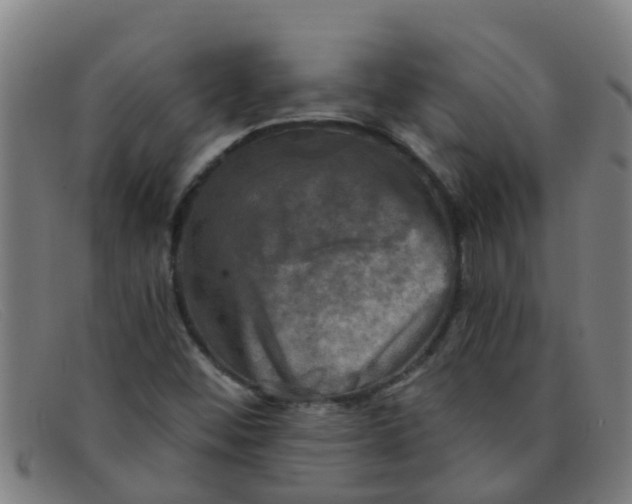 X0000091351452200708311507
