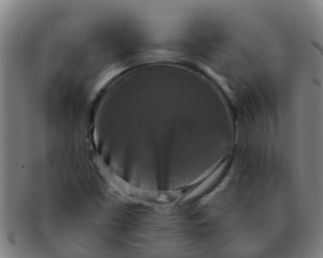 X0000091351453200708311507