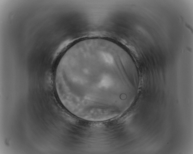 X0000091351454200708311507