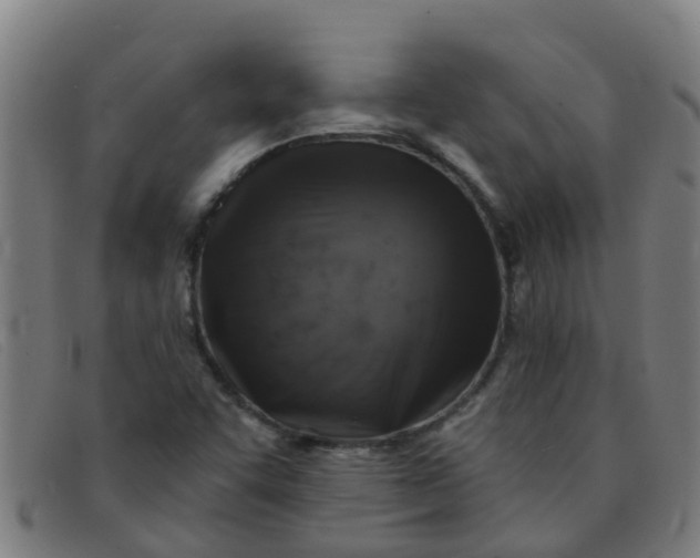 X0000091351455200708311507