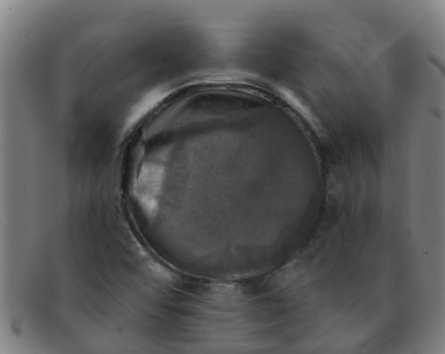 X0000091351456200708311507