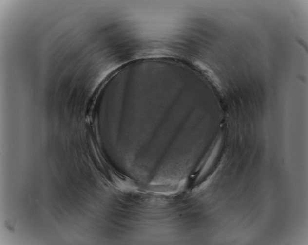 X0000091351457200708311507