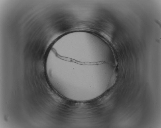X0000091351458200708311507