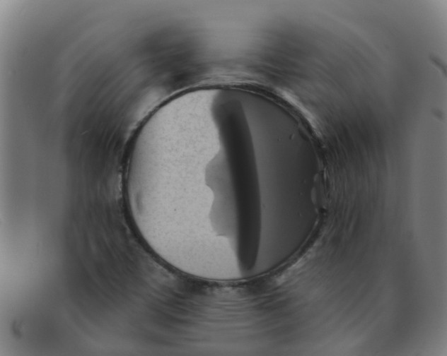 X0000091351459200708311507