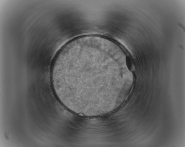 X0000091351460200708311507