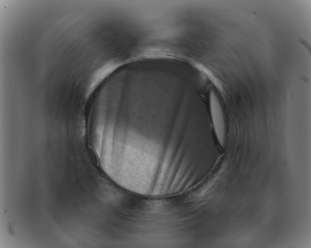 X0000091351461200708311507