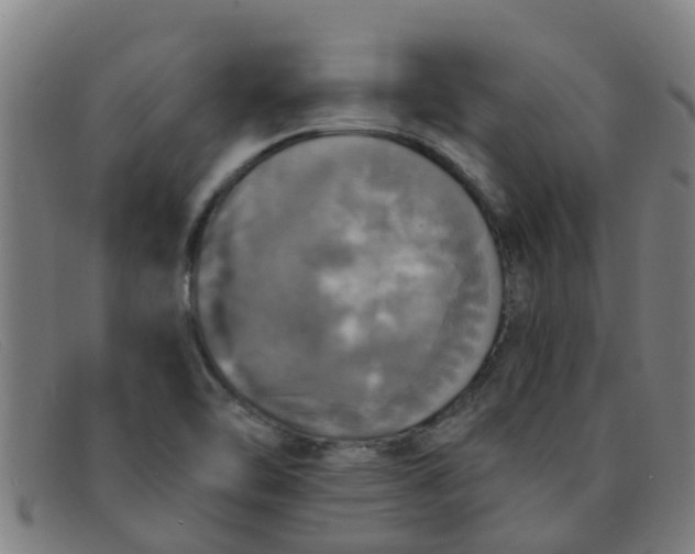 X0000091351462200708311507