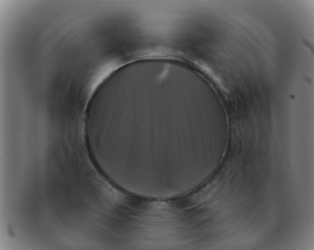 X0000091351463200708311507
