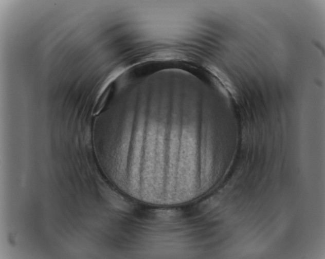 X0000091351465200708311506