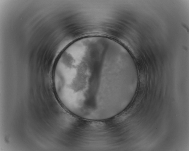 X0000091351466200708311506