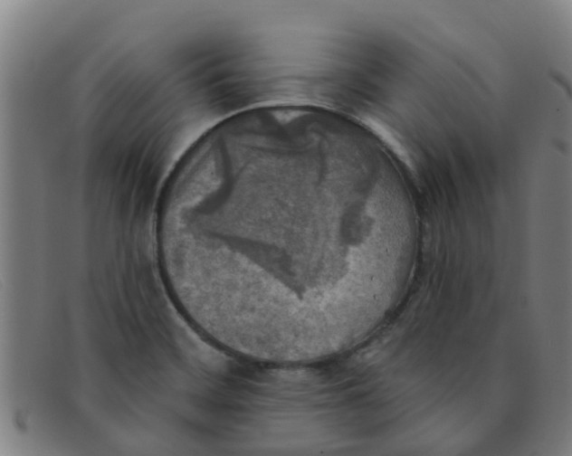 X0000091351468200708311506