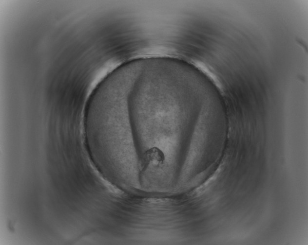 X0000091351469200708311506
