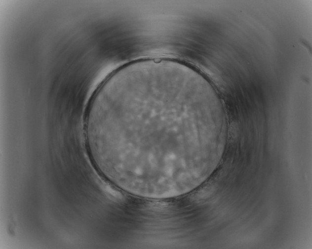 X0000091351470200708311506