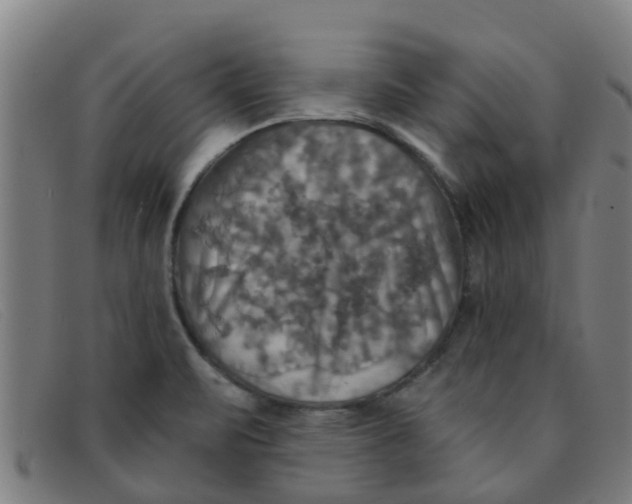 X0000091351471200708311506