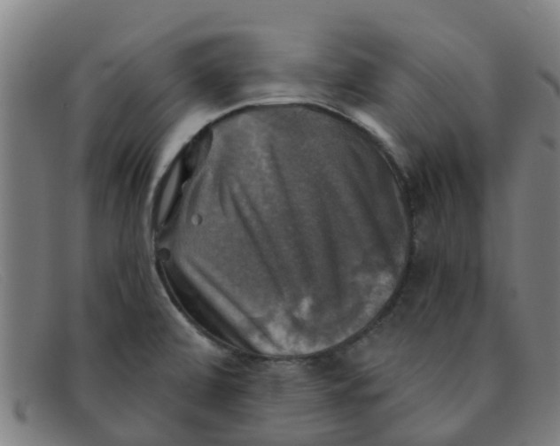 X0000091351472200708311506