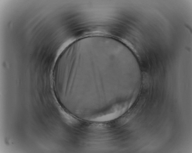 X0000091351474200708311506