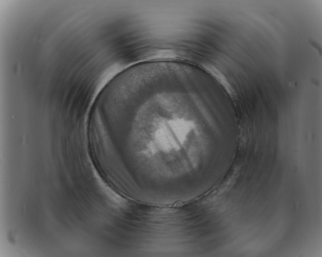 X0000091351475200708311506