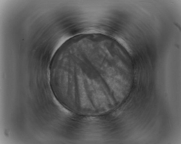 X0000091351476200708311506