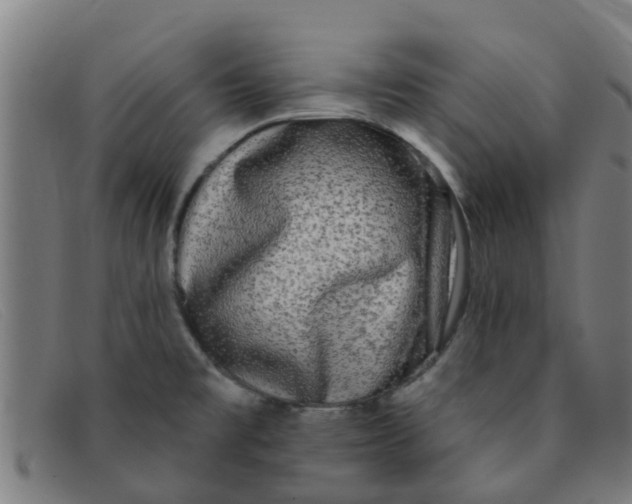 X0000091351477200708311506