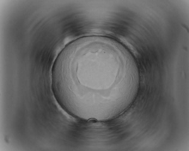 X0000091351479200708311506