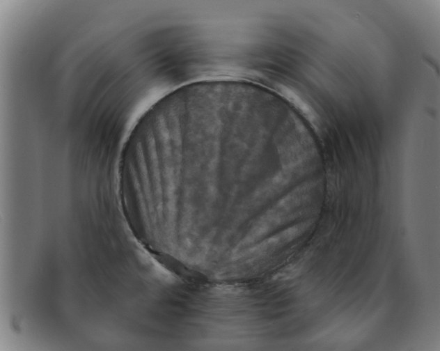 X0000091351480200708311506