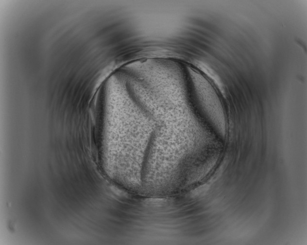 X0000091351481200708311506