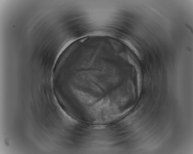 X0000091351484200708311506