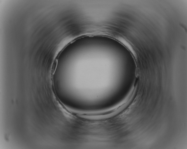 X0000091351485200708311506