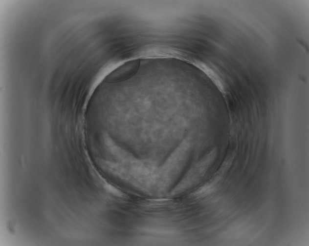 X0000091351486200708311506