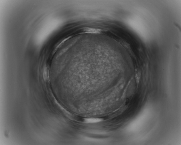 X0000091351487200708311506