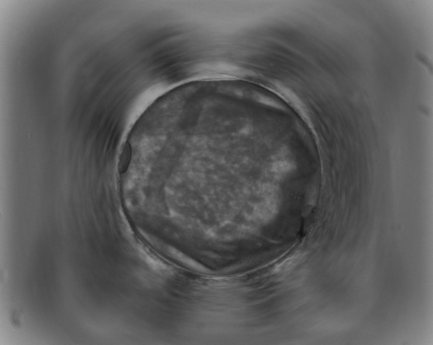 X0000091351488200708311506