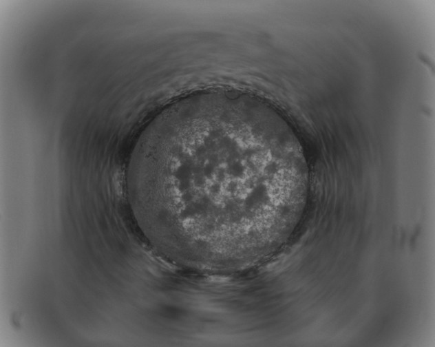 X0000091351490200708311506