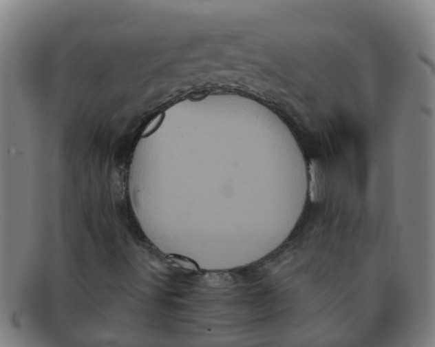 X0000091351491200708311506