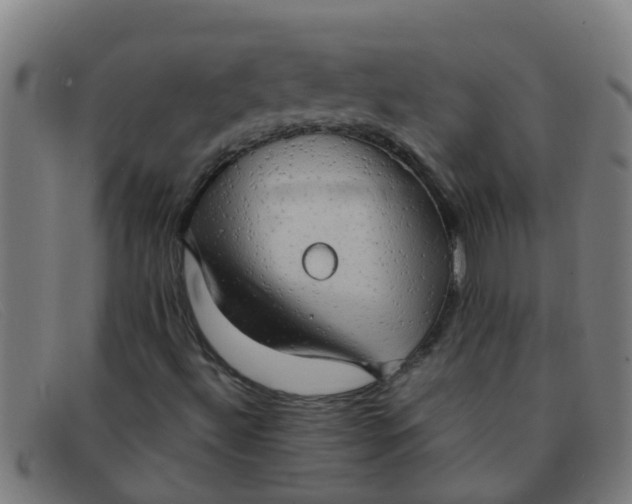 X0000091351492200708311506
