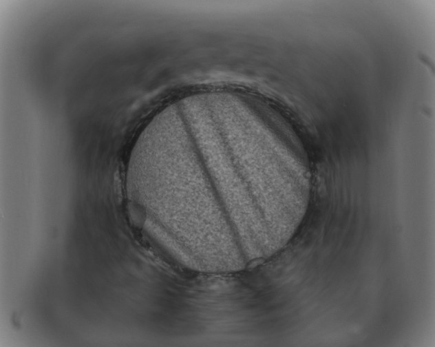 X0000091351493200708311506