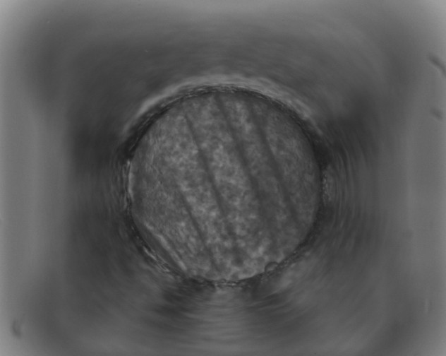 X0000091351494200708311506
