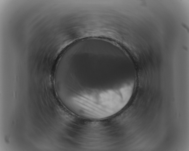 X0000091351497200708311506