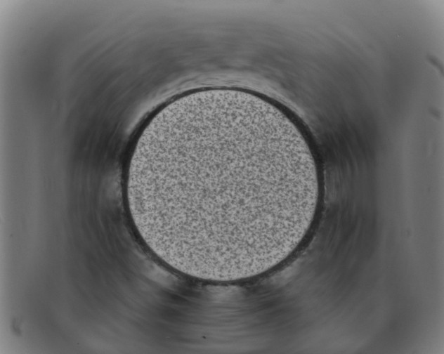 X0000091351498200708311506