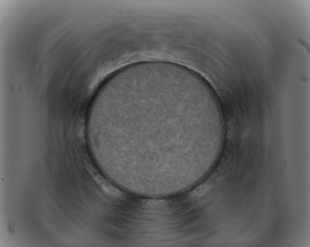 X0000091351499200708311506
