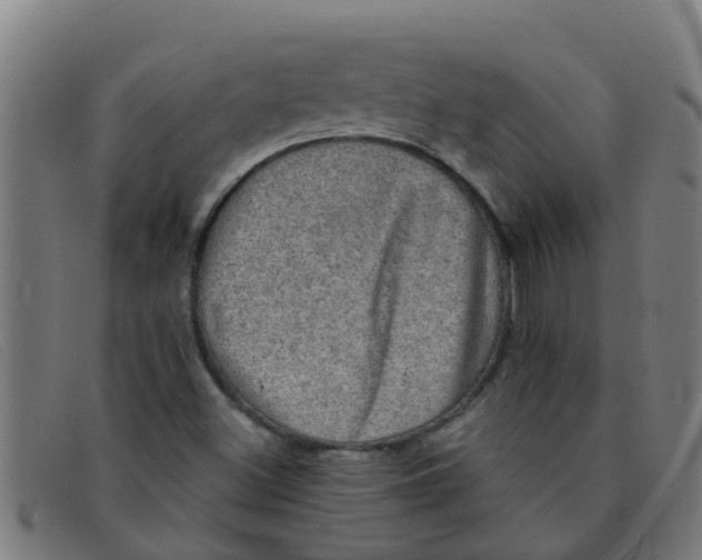 X0000091351500200708311506
