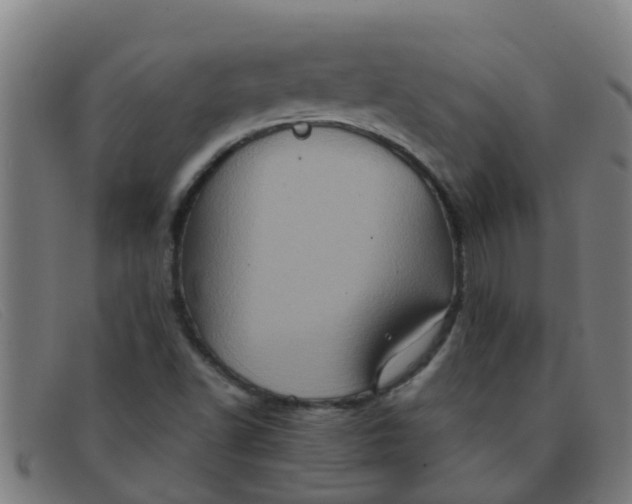 X0000091351502200708311506