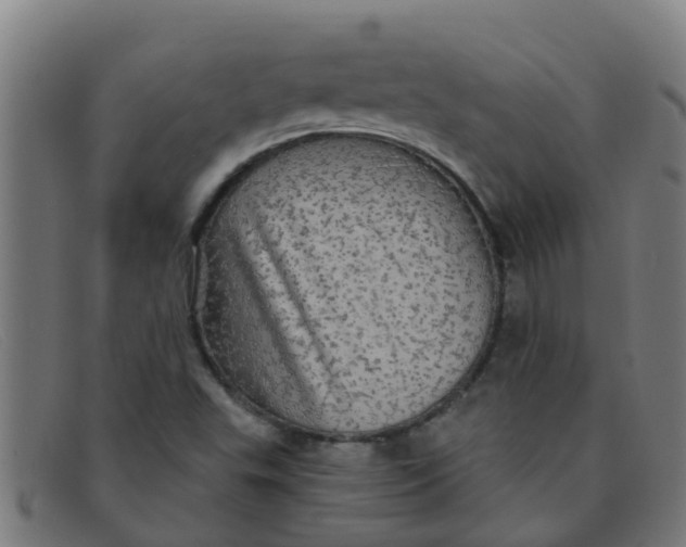 X0000091351503200708311506